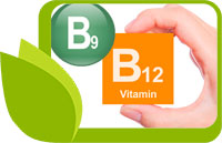 Храни, богати на витамин B12 и фолиева киселина. Ползи за здравето