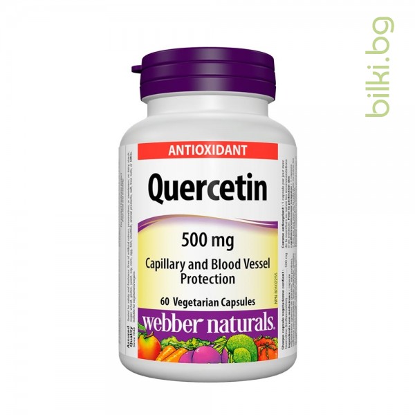 кверцетин, quercetin, webber naturals, кверцетин имунитет, кверцетин хранителна добавка, имунна система, силен имунитет, антиоксидант, уебър нейчърълс, кверцетин цена, кверцетин капсул