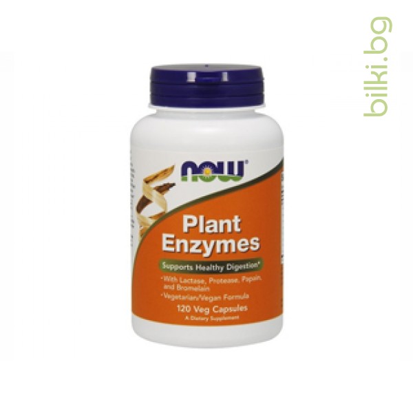 растителни ензими,plant enzymes,now foods