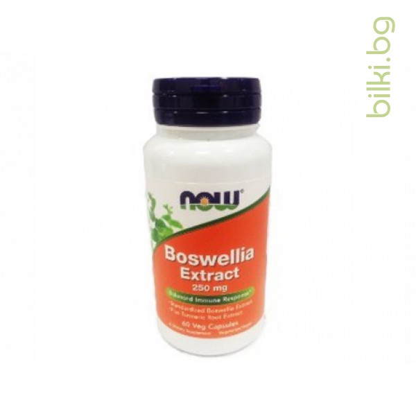 boswellia extract,екстракт от смола на босвелия,now foods