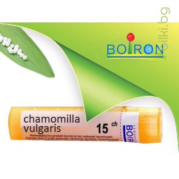 хамомила, chamomilla vulgaris, ch 15, боарон    