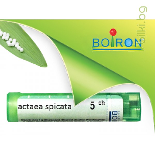 actaea spicata, boiron