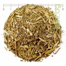 Блатен тъжник стрък рязан – Спирея, Filipendula ulmaria L.