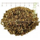 Готу Кола стрък рязан, Centella asiatica