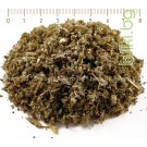 Салвия лист – Градински чай, при кашлица и възпалено гърло, Salvia officinalis