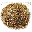 Зайча сянка корен – Аспарагус, при подагра, Asparagus officinalis