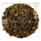 Зелен чай перлички – Гънпаудър, Gun powder, Camellia sinensis
