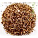 Иглика Лечебна корен - бронхо чай, отхрачващо, секретолитично, успокояващо, Primula veris L. 
