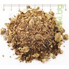 Ирис корен млян – Перуника, при секрет и кашлица, Iris Germanica L.