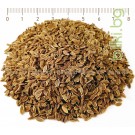 Копър семе - при кашлица, Anethum graveolens