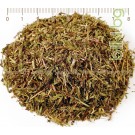 Мащерка ароматна стрък - за чай, дива, българска, Thymus serpyllum