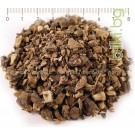 Черен Оман корен – Зарасличе, Symphytum officinale L.