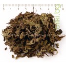 Ортосифон стрък рязан – Бъбречен чай, Orthosiphon stamineus