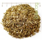 Див Пелин стрък рязан - при липса на апетит, Artemisia vulgaris