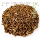 Ранилист корен - при рани и язви, Betonica officinalis