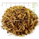 Сладник корен рязан (небелен) – Женско биле, при кашлица, Licorice