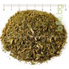 Ясен лист - противопаразитен чай, Fraxinus excelsior