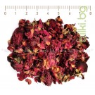 Роза маслодайна венчелистче - Червена, Rosae centifolia