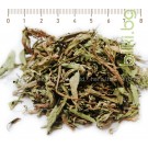 Стевия лист, Stevia Rebaudiana
