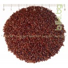 Черен Хуск Фибри – семена от Индийски живовлек, Psyllium Nigrum Husk