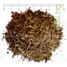 Червена Детелина стрък - при менопауза, Trifolium pratense
