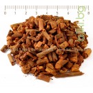 Брош корен - Червен, Rubia tinctorum L.