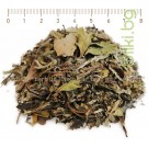 Бял чай Пай Му Тан - най-известният зелен чай, Pai Mu Tan