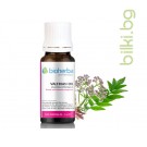 МАСЛО ОТ ВАЛЕРИАНА , Valerian Officinalis Root Oil , 5мл