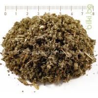 Салвия лист – Градински чай, Salvia officinalis L.