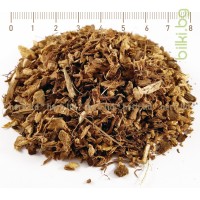 Ехинацея корен - при грип и настинка, Echinacea purpurea