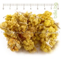 Жълт смил цвят – Безсмъртниче, камъни и пясък в жлъчния мехур, Helichrysum arenarium 