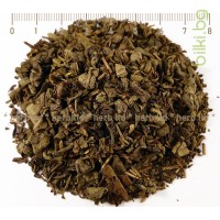 Зелен чай перлички – Гънпаудър, Gun powder, Camellia sinensis