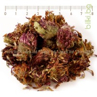 ЧЕРВЕНА ДЕТЕЛИНА ЦВЯТ , Trifolium pratense L.