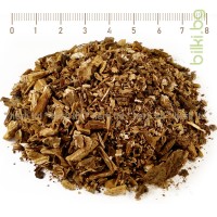 Чобанка корен – Лопуш, при мигрена, Petasites officinalis