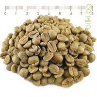 Зелено кафе на зърна Арабика, Coffea Arabica