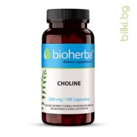 Холин - за черен дроб и нервна система, Bioherba, 350 мг, 100 капсули