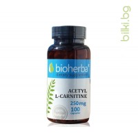 Ацетил Л-Карнитин - метаболизъм и енергия, Bioherba, 250 мг, 100 капсули