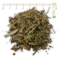 Мексикански чай Амброзия, подправка и противопаразитен чай, Chenopodium ambrosioides 