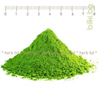 Зелен чай Матча на прах BOF - силен антиоксидант, Camelia Sinensis