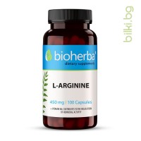 л-аргинин, амино киселина, сърдечносъдова система