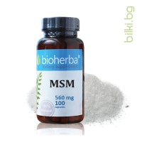 MSM – МСМ, Bioherba, 560 мг, 100 капс.