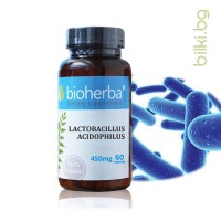 Лактобацилус Ацидофилус, Bioherba, 450 мг, 60 капс.