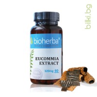 Еукомия екстракт - при високо кръвно, Bioherba, 320 мг, 60 капс.