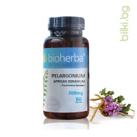 Африкански пеларгониум, Bioherba, 200 мг, 60 капс.