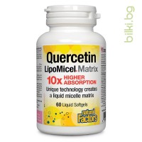 Кверцетин LipoMicel Matrix, Natural Factors, 250 mg, 60 софтгел капс.