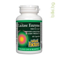 Лактаза ензим, Natural Factors, 250 mg, 60 капс.