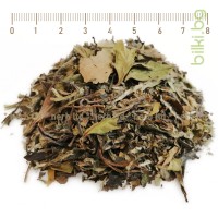 Бял чай Пай Му Тан - най-известният зелен чай, Pai Mu Tan
