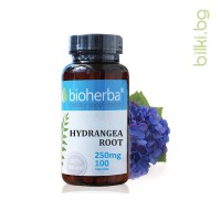 Хортензия корен за бъбреци, Bioherba, 250 мг, 100 капсули