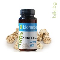 Ангелика, Bioherba, 270 мг, 100 капс.
