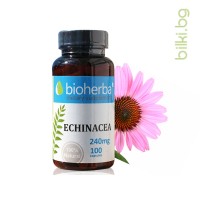 Ехинацея, Bioherba, 240 мг, 100 капс.